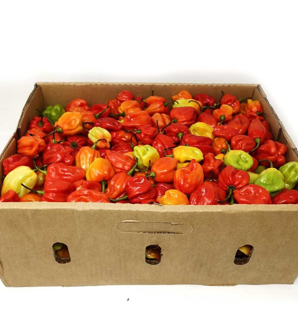 Box of Hot Pepper - Uganda