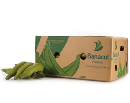 Box of Green Plantain