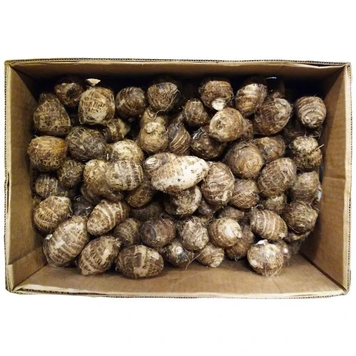 Box Of Coco Yam